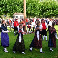 Austanzen des Kalbs im Schlossgarten
